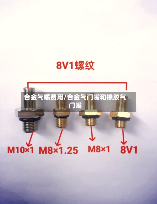 合金气嘴费用/合金气门嘴和橡胶气门嘴