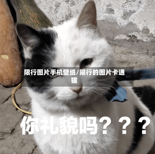 限行图片手机壁纸/限行的图片卡通猫-第1张图片