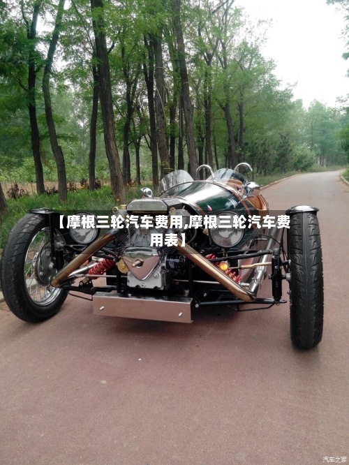 【摩根三轮汽车费用,摩根三轮汽车费用表】-第2张图片