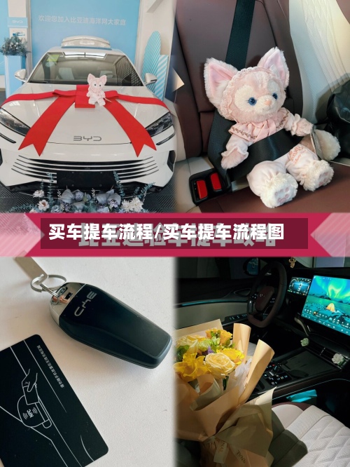 买车提车流程/买车提车流程图
