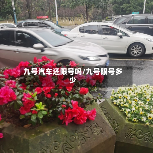 九号汽车还限号吗/九号限号多少