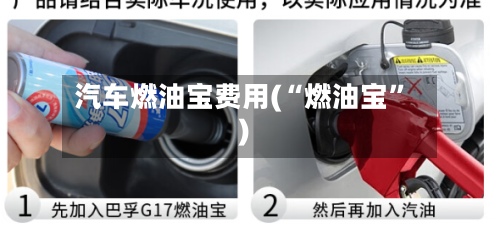 汽车燃油宝费用(“燃油宝”)-第2张图片