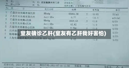 室友确诊乙肝(室友有乙肝我好害怕)-第2张图片