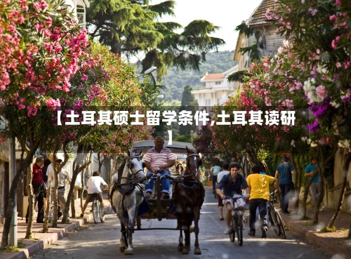 【土耳其硕士留学条件,土耳其读研】-第2张图片
