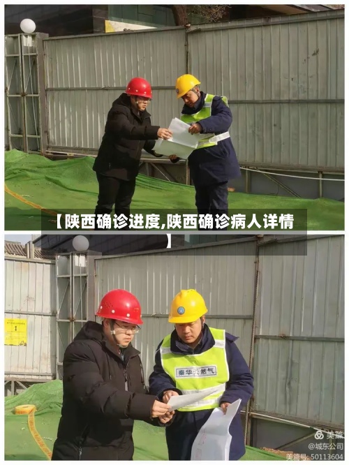 【陕西确诊进度,陕西确诊病人详情】-第3张图片