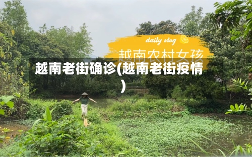 越南老街确诊(越南老街疫情)-第2张图片