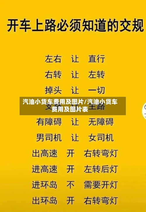 汽油小货车费用及图片/汽油小货车费用及图片表