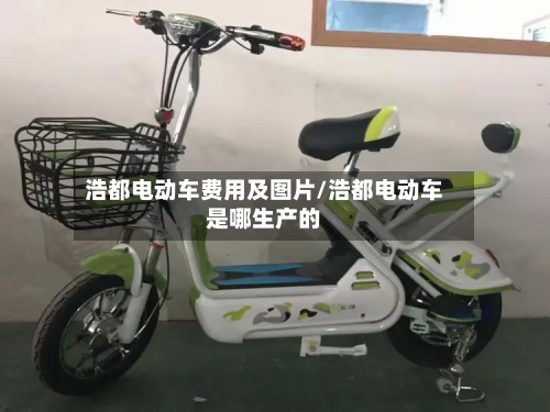 浩都电动车费用及图片/浩都电动车是哪生产的