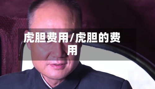 虎胆费用/虎胆的费用-第2张图片