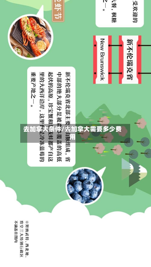 去加拿大条件/去加拿大需要多少费用