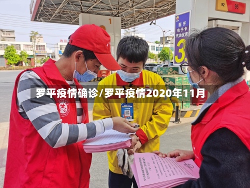 罗平疫情确诊/罗平疫情2020年11月-第2张图片