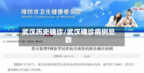 武汉历史确诊/武汉确诊病例总数