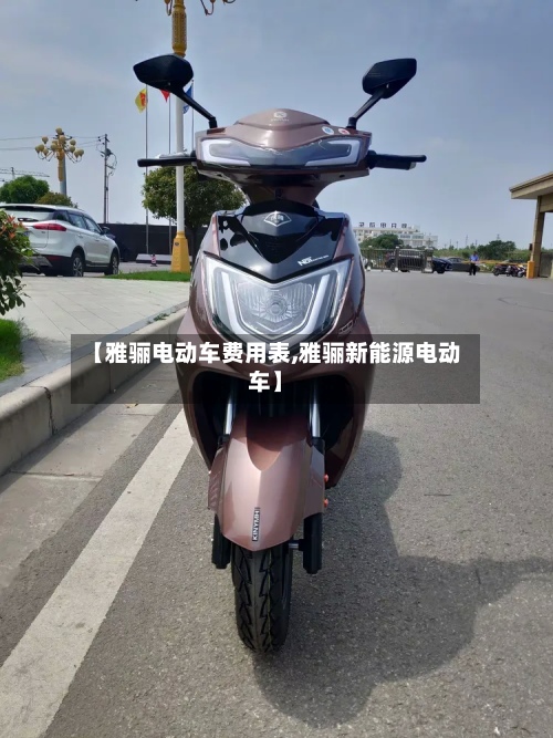 【雅骊电动车费用表,雅骊新能源电动车】