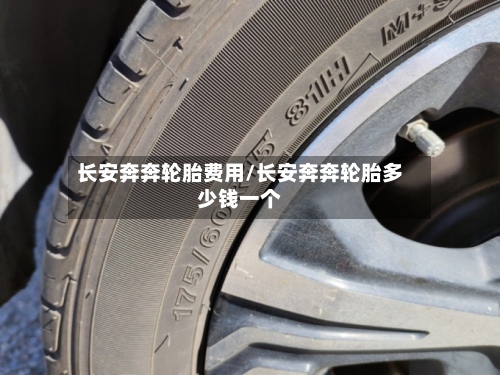 长安奔奔轮胎费用/长安奔奔轮胎多少钱一个-第2张图片