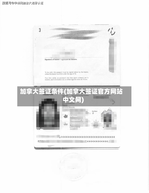 加拿大签证条件(加拿大签证官方网站中文网)