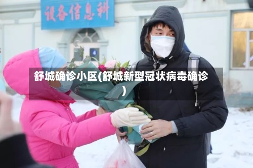 舒城确诊小区(舒城新型冠状病毒确诊)-第3张图片
