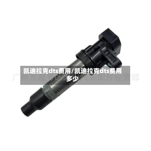 凯迪拉克dts费用/凯迪拉克dts费用多少-第2张图片