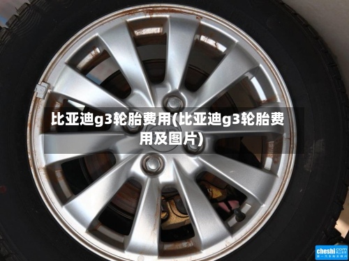 比亚迪g3轮胎费用(比亚迪g3轮胎费用及图片)-第2张图片