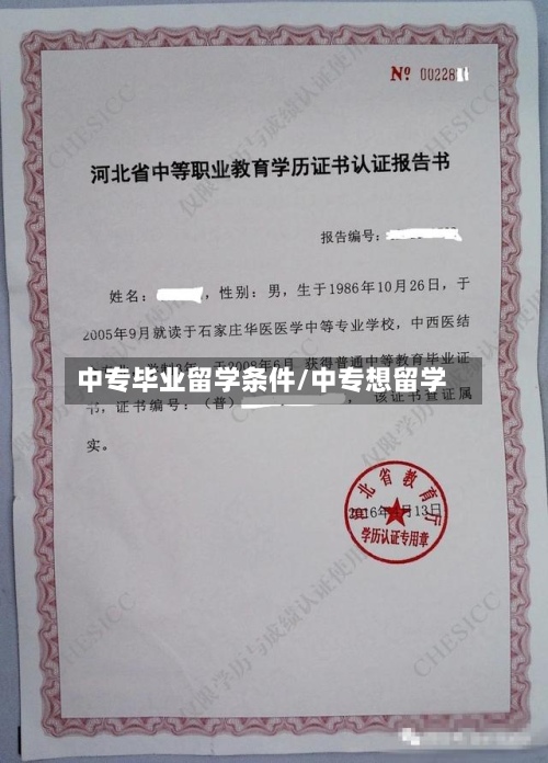 中专毕业留学条件/中专想留学-第3张图片