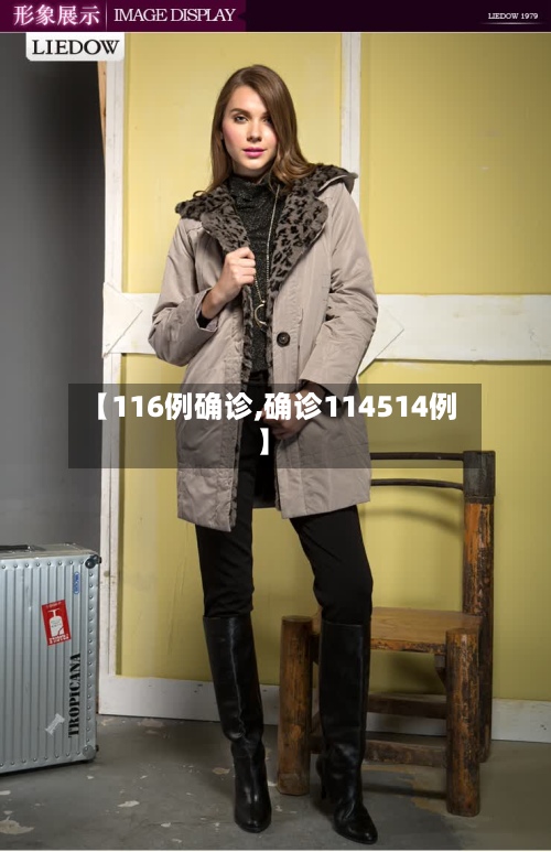 【116例确诊,确诊114514例】-第3张图片