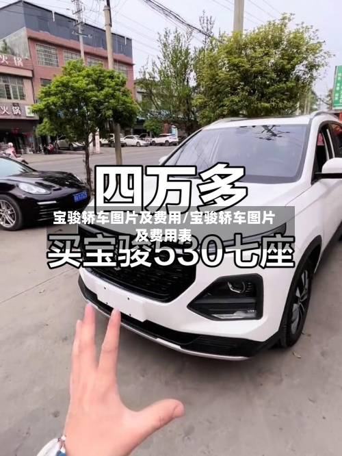 宝骏轿车图片及费用/宝骏轿车图片及费用表-第3张图片