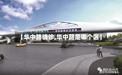 【华中路确诊,华中路是哪个区】-第2张图片