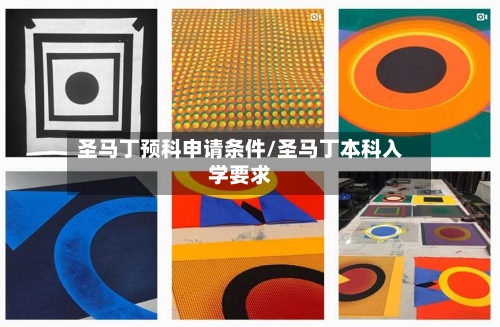 圣马丁预科申请条件/圣马丁本科入学要求