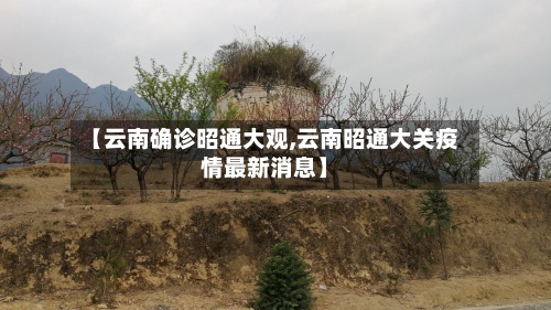 【云南确诊昭通大观,云南昭通大关疫情最新消息】