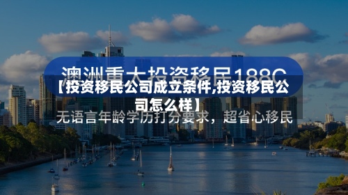 【投资移民公司成立条件,投资移民公司怎么样】-第3张图片