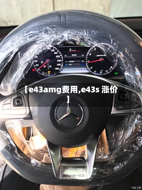 【e43amg费用,e43s 涨价】