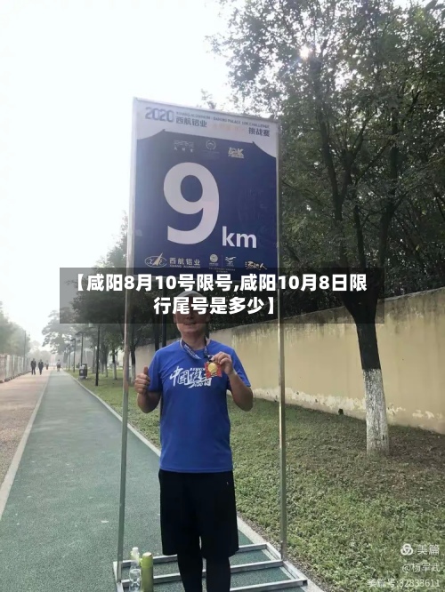 【咸阳8月10号限号,咸阳10月8日限行尾号是多少】