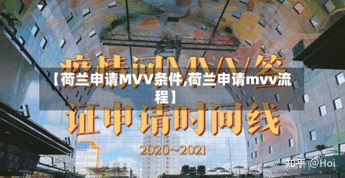 【荷兰申请MVV条件,荷兰申请mvv流程】