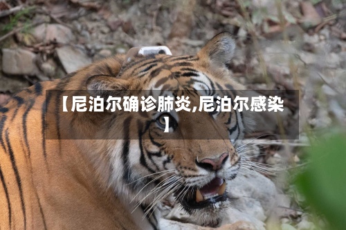 【尼泊尔确诊肺炎,尼泊尔感染】