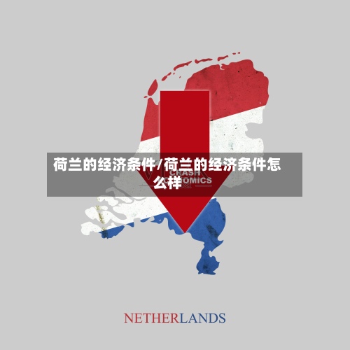 荷兰的经济条件/荷兰的经济条件怎么样-第3张图片