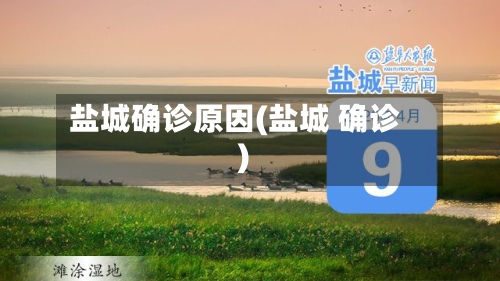盐城确诊原因(盐城 确诊)