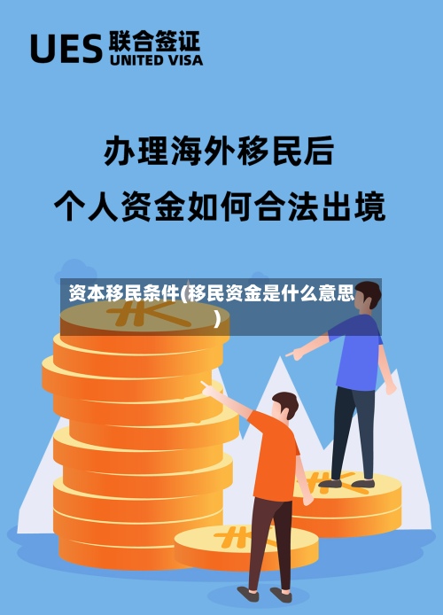资本移民条件(移民资金是什么意思)