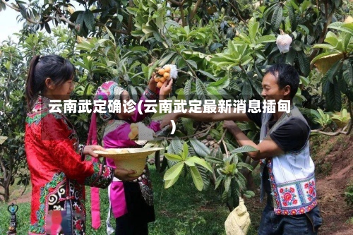 云南武定确诊(云南武定最新消息插甸)