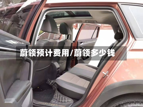 蔚领预计费用/蔚领多少钱-第3张图片