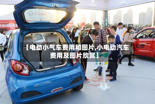 【电动小气车费用和图片,小电动汽车费用及图片欣赏】