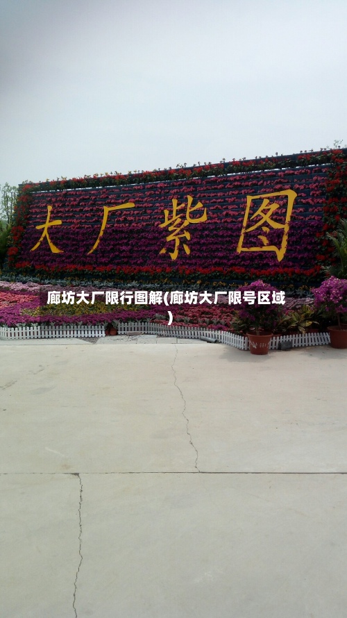 廊坊大厂限行图解(廊坊大厂限号区域)