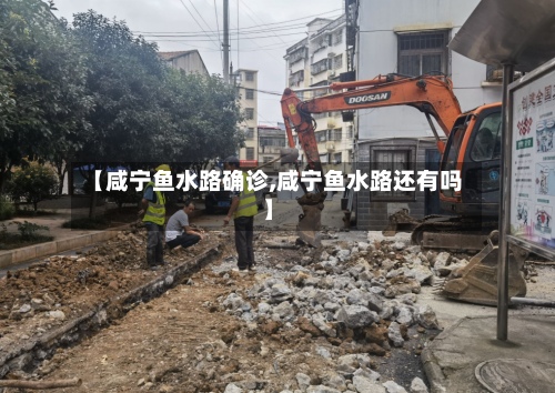 【咸宁鱼水路确诊,咸宁鱼水路还有吗】