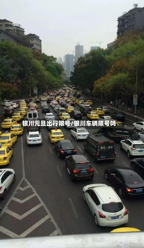 银川元旦出行限号/银川车辆限号吗