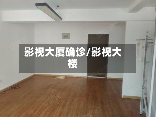 影视大厦确诊/影视大楼-第2张图片