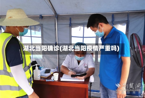 湖北当阳确诊(湖北当阳疫情严重吗)-第2张图片