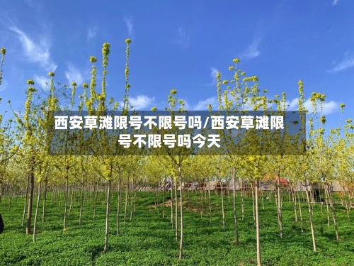 西安草滩限号不限号吗/西安草滩限号不限号吗今天-第3张图片