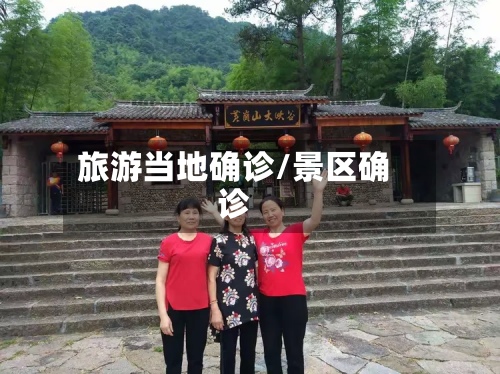 旅游当地确诊/景区确诊