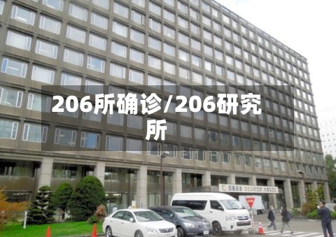 206所确诊/206研究所