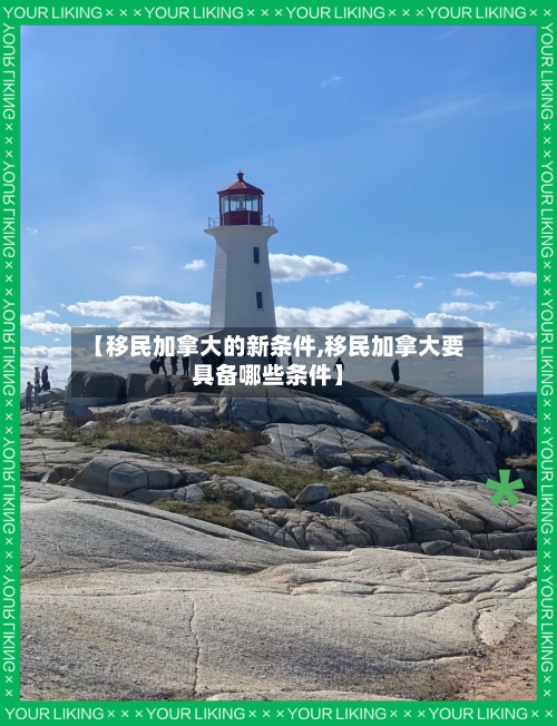 【移民加拿大的新条件,移民加拿大要具备哪些条件】-第3张图片