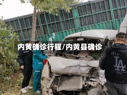 内黄确诊行程/内黄县确诊-第2张图片