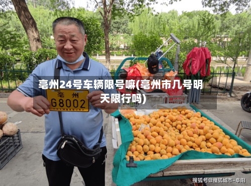 亳州24号车辆限号嘛(亳州市几号明天限行吗)-第2张图片